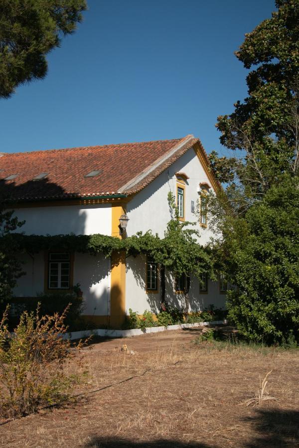 Quinta De Santana Da Varzea Abrantes Exteriér fotografie