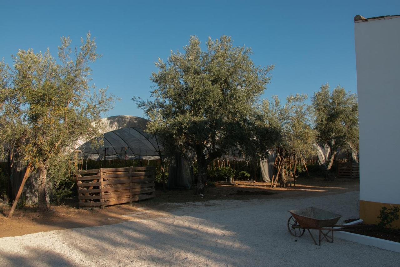 Quinta De Santana Da Varzea Abrantes Exteriér fotografie