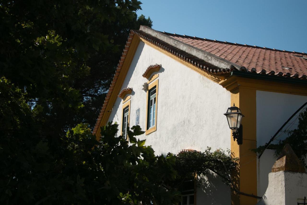 Quinta De Santana Da Varzea Abrantes Exteriér fotografie