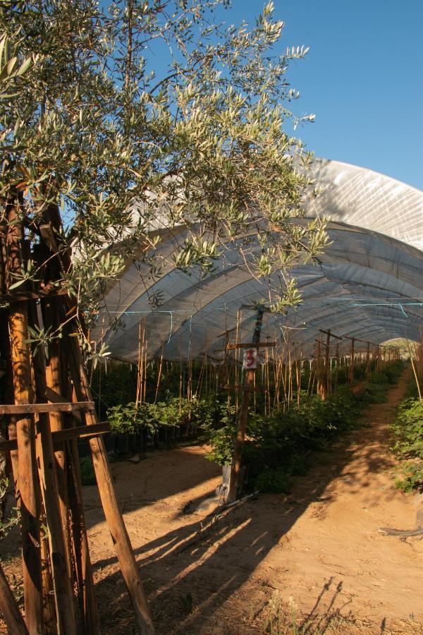 Quinta De Santana Da Varzea Abrantes Exteriér fotografie