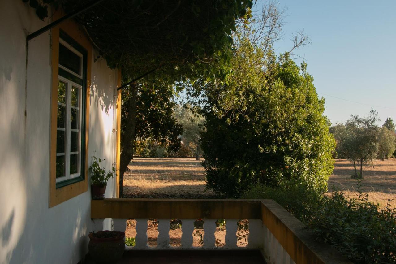 Quinta De Santana Da Varzea Abrantes Exteriér fotografie