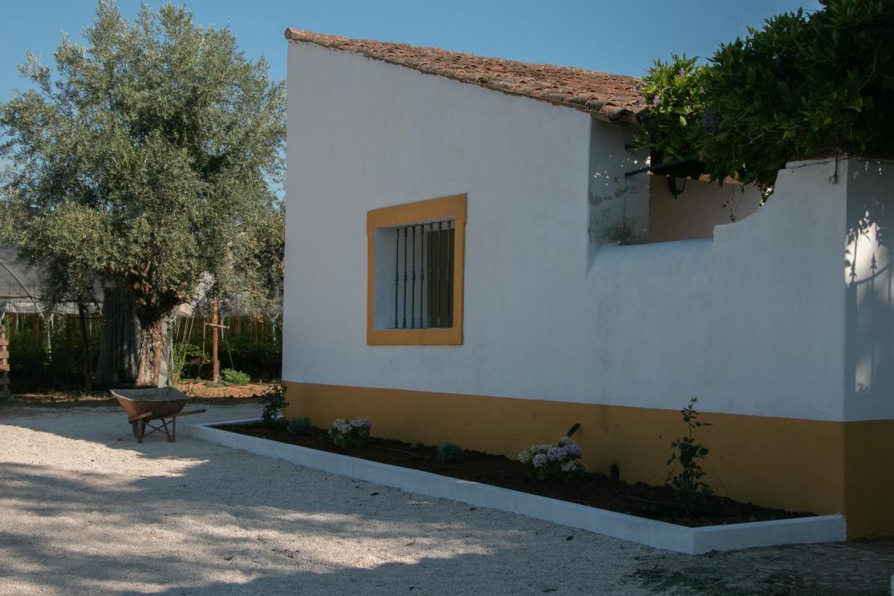 Quinta De Santana Da Varzea Abrantes Exteriér fotografie