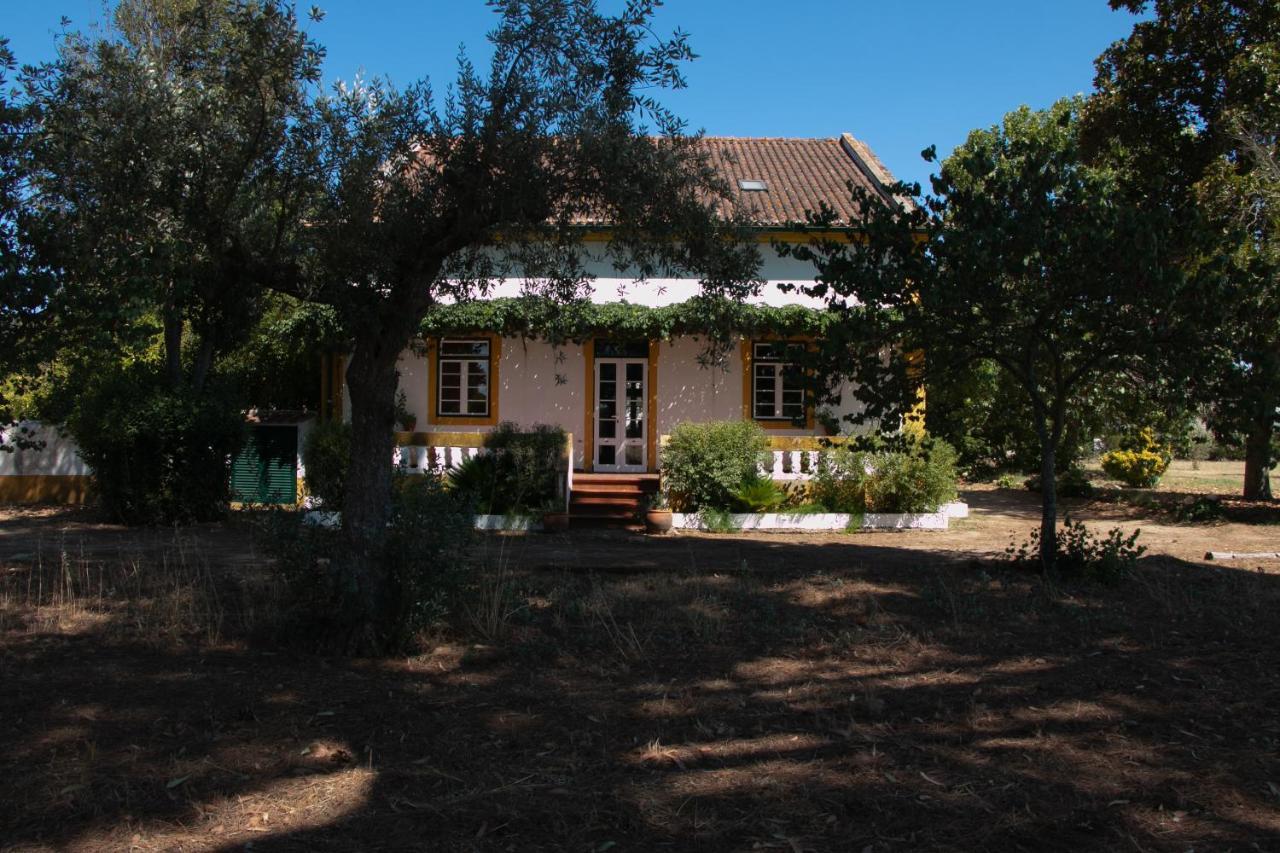 Quinta De Santana Da Varzea Abrantes Exteriér fotografie