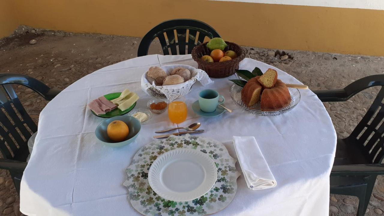 Quinta De Santana Da Varzea Abrantes Exteriér fotografie