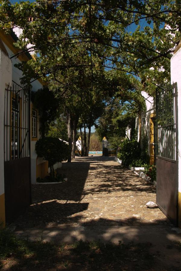 Quinta De Santana Da Varzea Abrantes Exteriér fotografie
