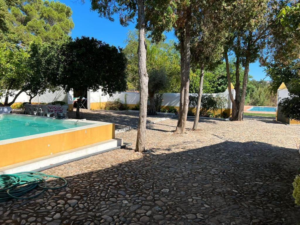 Quinta De Santana Da Varzea Abrantes Exteriér fotografie