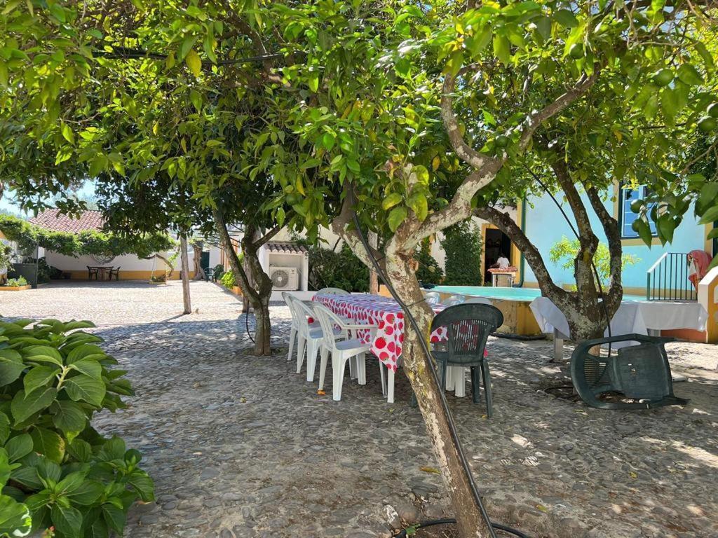 Quinta De Santana Da Varzea Abrantes Exteriér fotografie