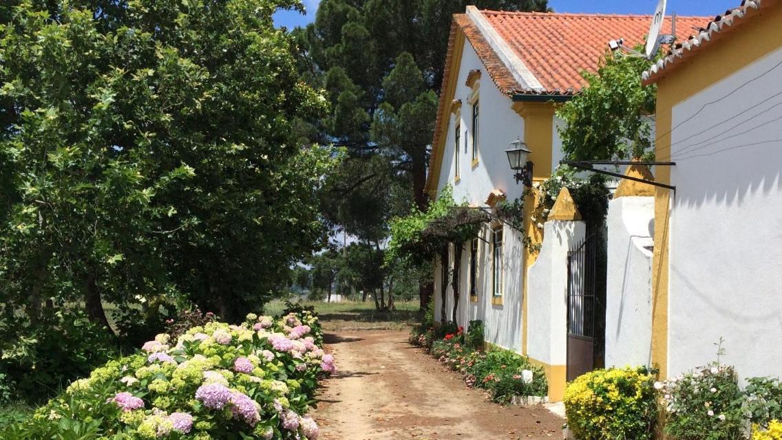 Quinta De Santana Da Varzea Abrantes Exteriér fotografie